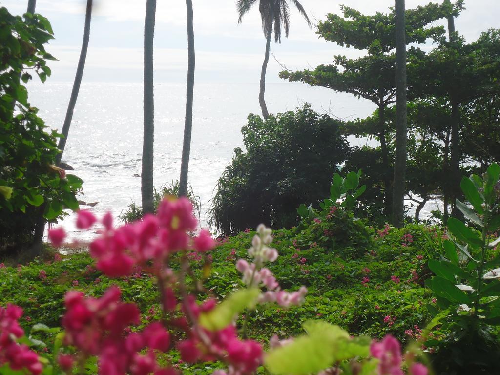 Masha Beach Inn タンガラ エクステリア 写真